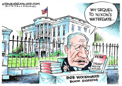 BOB WOODWARD BOOK TRUMP WHITE HOUSE by Dave Granlund