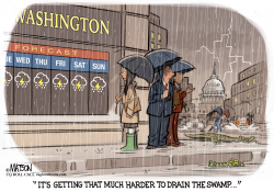 RAINY WASHINGTON WEATHER MAKES IT HARDER TO DRAIN THE SWAMP by RJ Matson