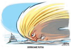 HURRICANE POTUS by RJ Matson