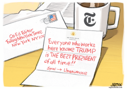 ANONYMOUS OP ED PRAISING TRUMP by RJ Matson