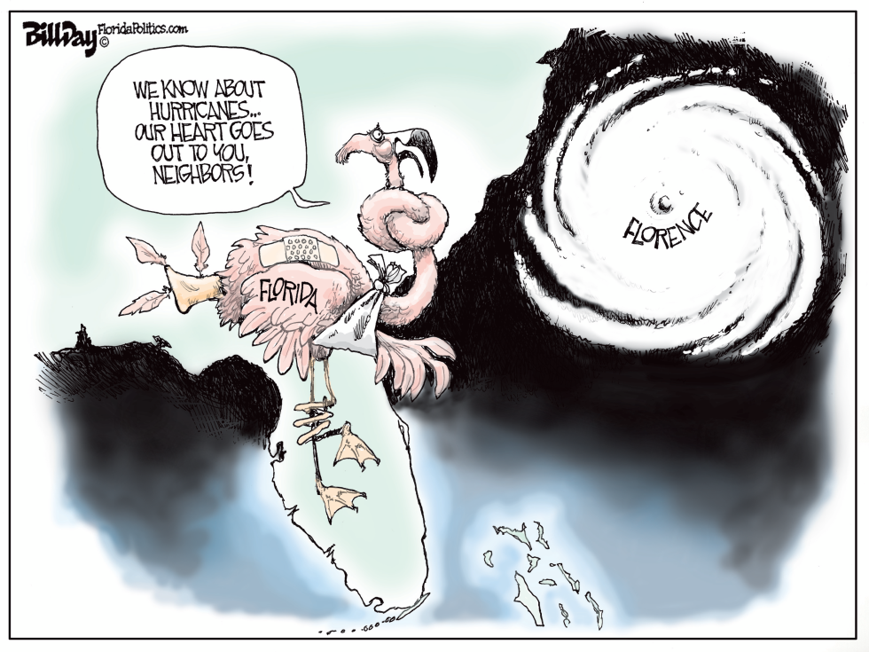  HURRICANE FLORENCE by Bill Day