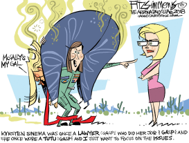 ARIZONA SENATE RACE by David Fitzsimmons