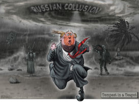 TRUMP HURRICANE FLORENCE RUSSIA by Sean Delonas