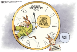 DEMOCRAT KAVANAUGH STRATEGY by Rick McKee