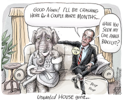 CHRIS COLLINS SEAT by Adam Zyglis