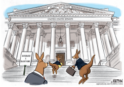 KAVANAUGH HEARING KANGAROO COURT by RJ Matson