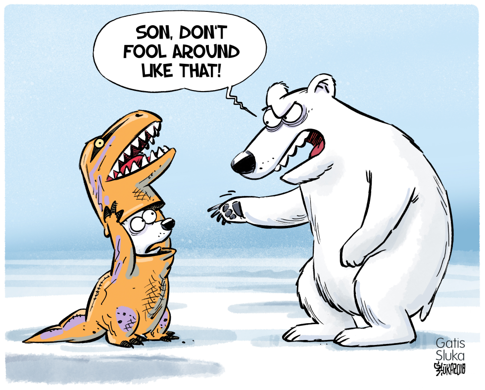  POLAR BEARS AND CLIMATE CHANGE by Gatis Sluka