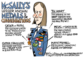 MCSALLY by David Fitzsimmons