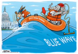 CATCHING A BLUE WAVE ELECTION by RJ Matson