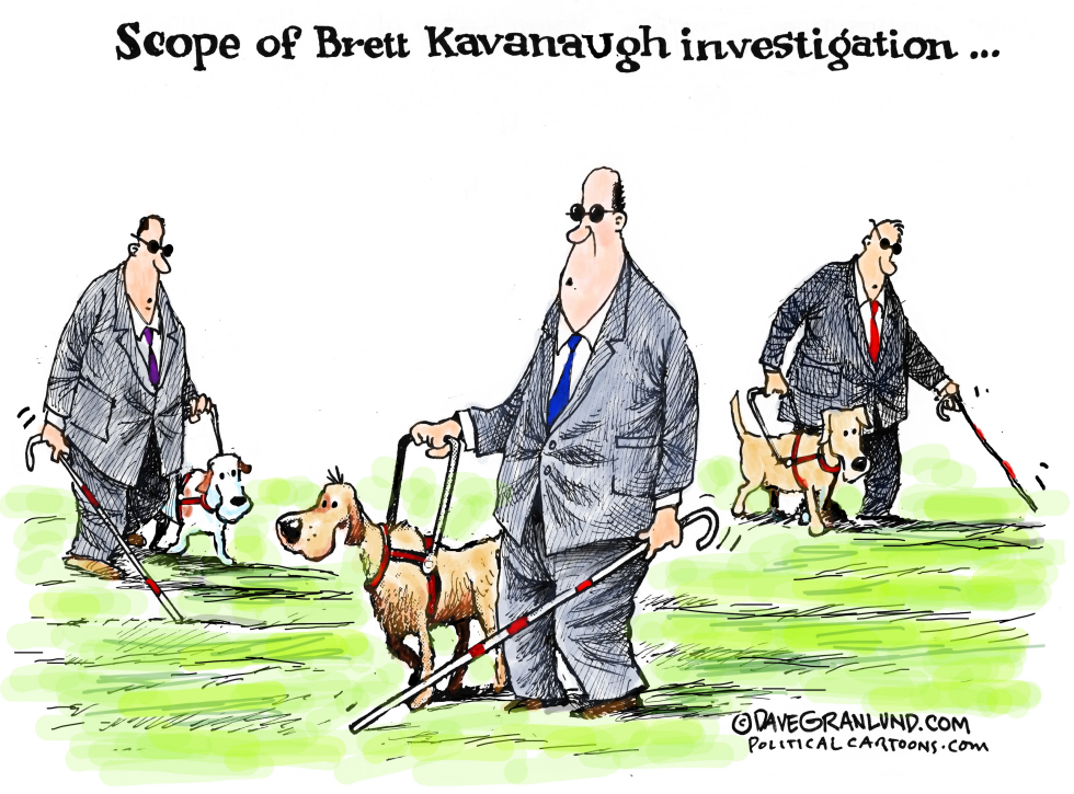  LIMITED PROBE OF KAVANAUGH by Dave Granlund