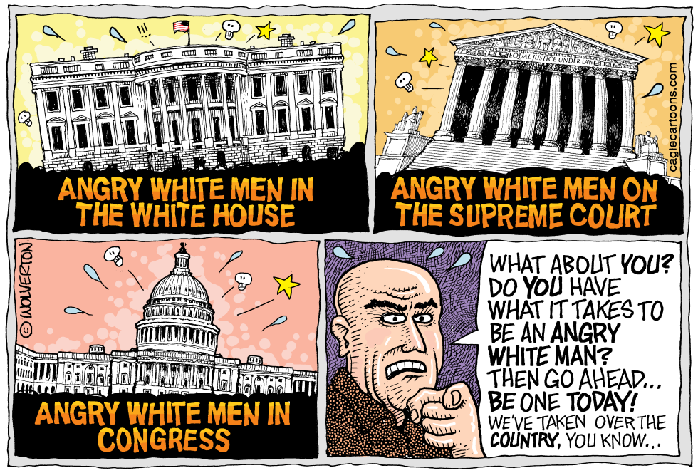  ANGRY WHITE MEN by Wolverton