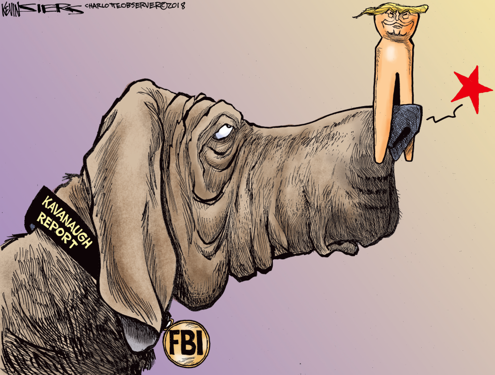  KAVANAUGH INVESTIGATION by Kevin Siers