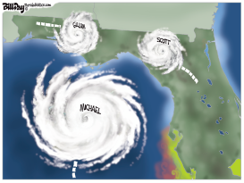 HURRICANES FLORIDA by Bill Day