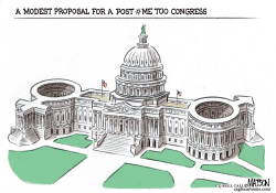 MODEST PROPOSAL FOR A POST ME TOO CONGRESS by RJ Matson