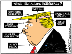 HORSEFACE by Bob Englehart