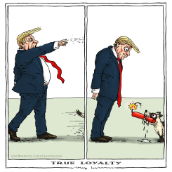 TRUE LOYALTY by Joep Bertrams