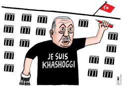 ERDOGAN AND SAUDI ARABIA by Schot