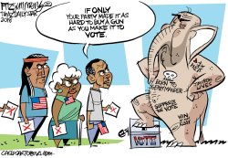 STOP THE VOTE by David Fitzsimmons