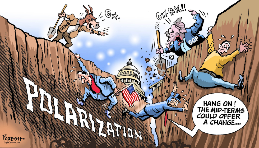  US MID-TERM POLLS by Paresh Nath