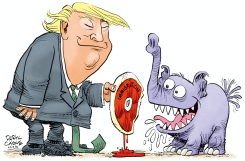 RED MEAT FOR TRUMP BASE  by Daryl Cagle