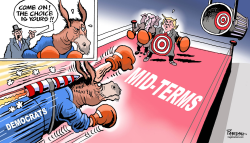 DEMOCRATS IN MID-TERMS by Paresh Nath