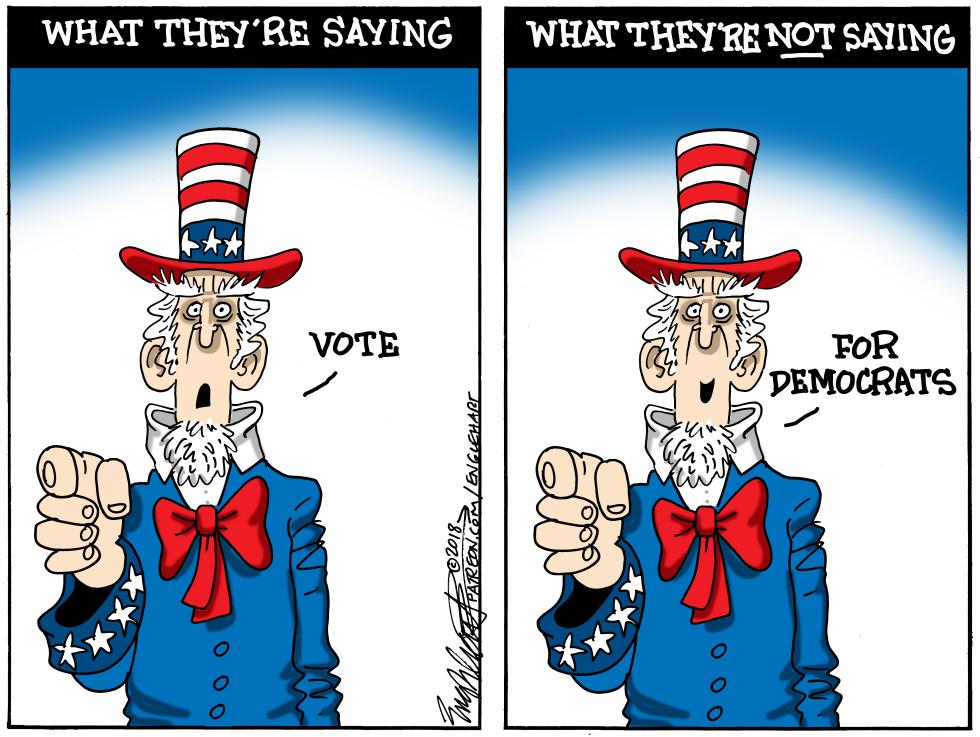  VOTE by Bob Englehart