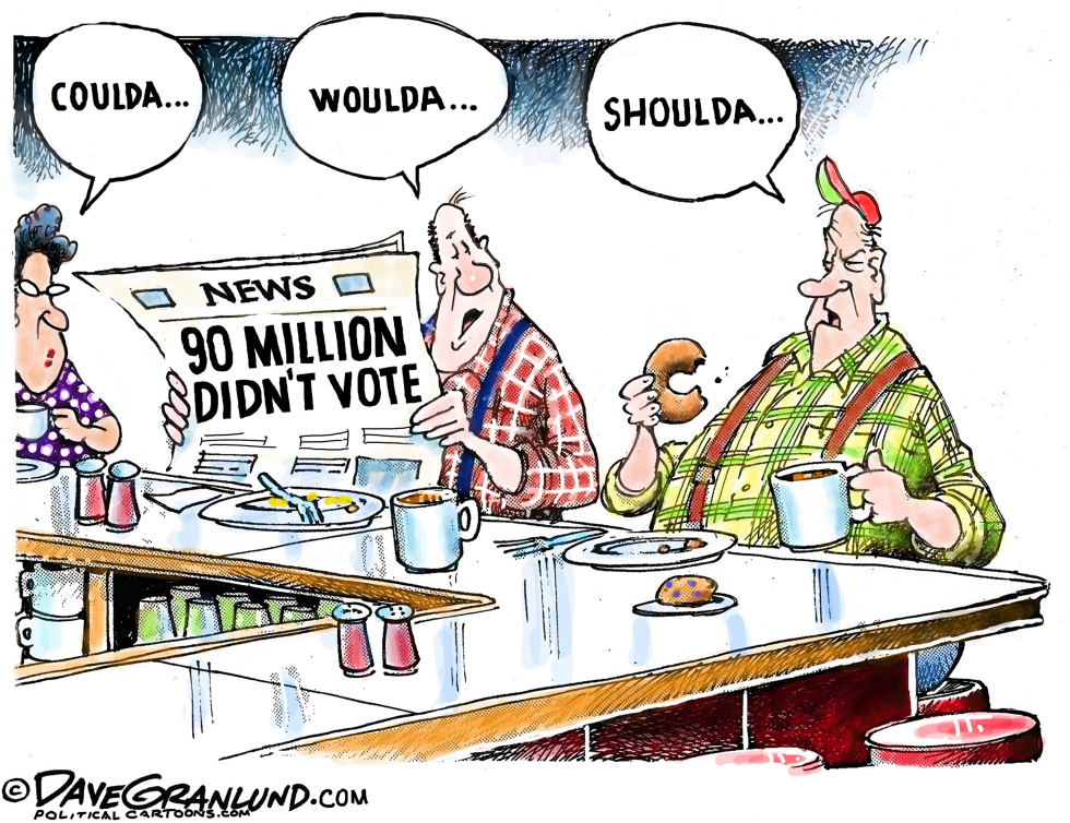  VOTERS AND APATHY by Dave Granlund