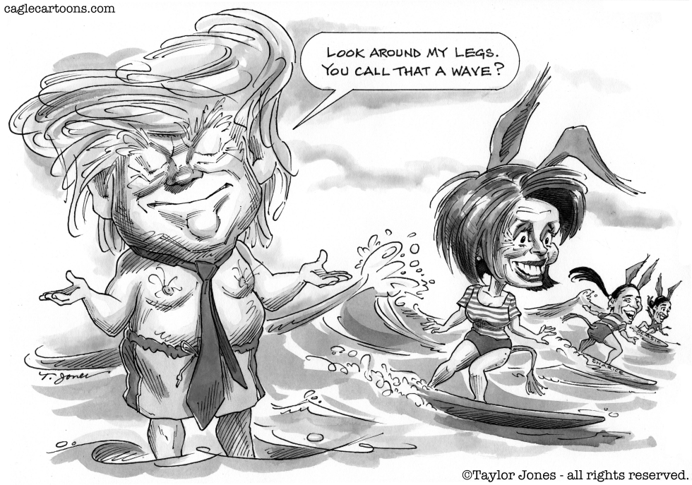  TRUMP AND PELOSI - SURF'S UP by Taylor Jones