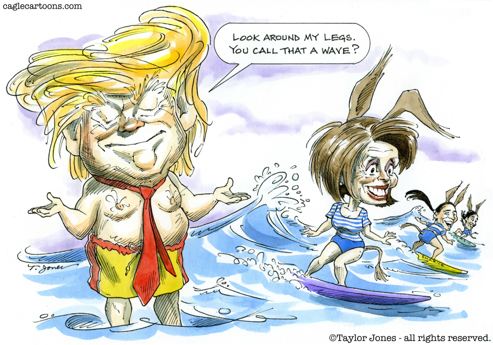  TRUMP AND PELOSI - SURF'S UP  by Taylor Jones