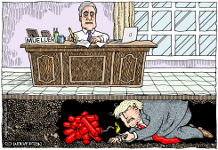 TRUMP UNDERMINES MUELLER by Wolverton