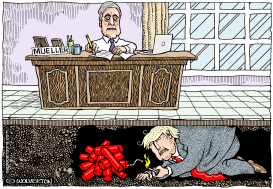 TRUMP UNDERMINES MUELLER by Wolverton