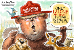 TRUMP SMOKEY BEAR by Ed Wexler