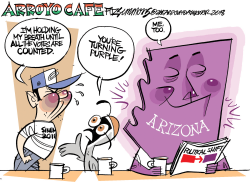 ARIZONA TURNS PURPLE by David Fitzsimmons