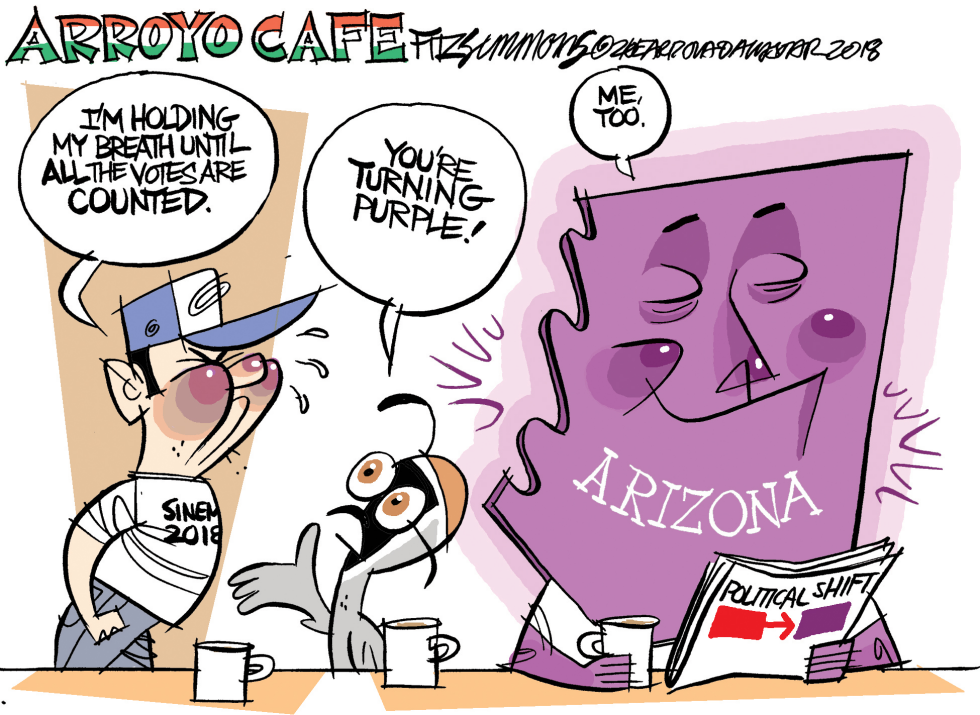  ARIZONA TURNS PURPLE by David Fitzsimmons