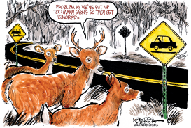 DEER IN THE HEADLIGHTS by Jeff Koterba