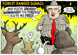 FOREST RANGER TRUMP by Wolverton