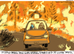 CALIFORNIA FIRES by Pat Bagley