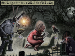 BROWARD COUNTY SNIPES ELECTION by Sean Delonas