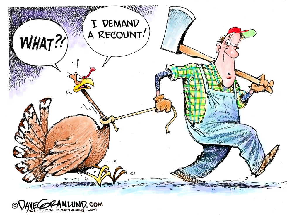  NOVEMBER RECOUNT by Dave Granlund