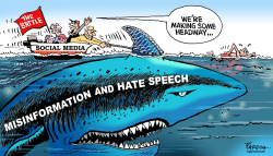 MISINFORMATION BATTLE by Paresh Nath