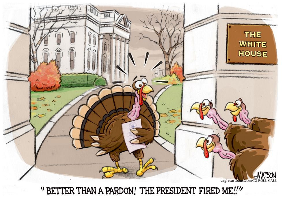  WHITE HOUSE TURKEY HAPPY TO BE FIRED by RJ Matson