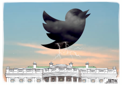 TWEET STORM by RJ Matson