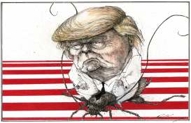 TRUMP RIDING A ROACH by Dale Cummings