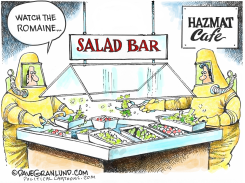 ROMAINE LETTUCE ECOLI by Dave Granlund