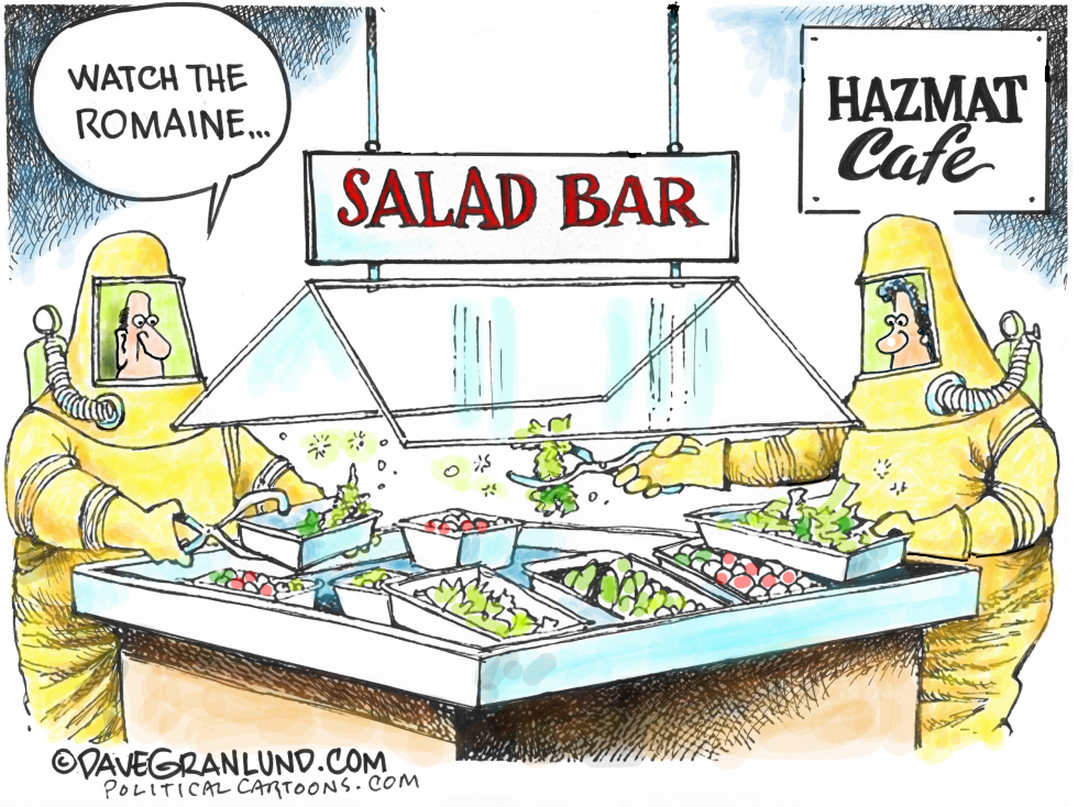  ROMAINE LETTUCE ECOLI by Dave Granlund