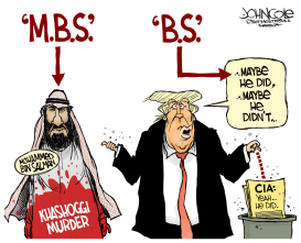 MBS AND BS by John Cole