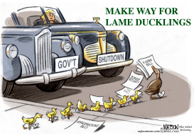 LAME DUCK CONGRESS by RJ Matson