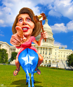 FORWARD PELOSI by Bart van Leeuwen