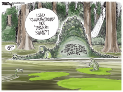 DESANTIS THE SWAMPMAN FLORIDA by Bill Day