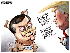 TRUMP TREAT by Steve Sack